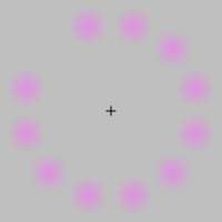 Lilac-Chaser.gif