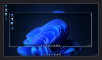 181717.webp