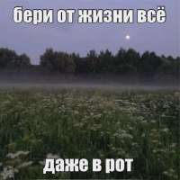 17470523512410.webp