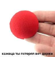 1750732001911.jpg