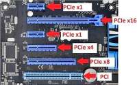 сорта PCI.jpg