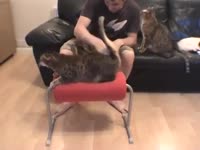 .mp4