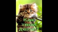 ксеон.mp4