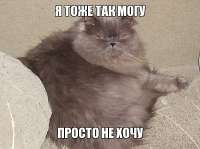 1748143441320.jpg