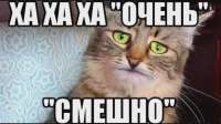 i.webp