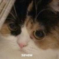 1747949510834.png