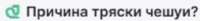 изображение.png