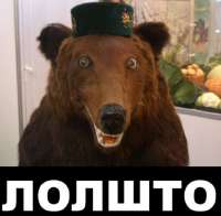 {55718E31-D225-4E14-8855-E731E9D29FE8}.png