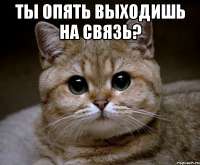 pidrila-ebanaya9352452orig.jpeg