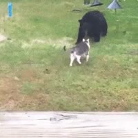133.mp4