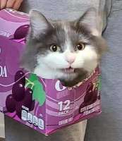 .jpg