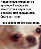 17477832895681.jpg