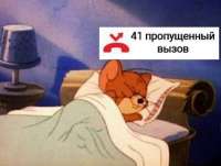 17477849252501.jpg