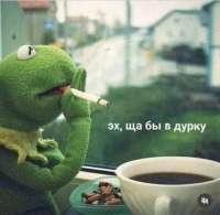 дурка2.jpg