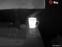 IMG2236.jpeg