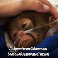 pobratimchik.png
