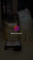 1750595159548.mp4