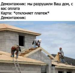 IMG4383.jpeg