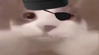 Demoman Cat Wants To Kiss You.mp4