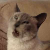 72cbb1b0f83c4a96be50fdae074f3280.png