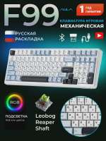 7592526388.webp