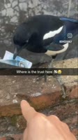 1751615748039.mp4