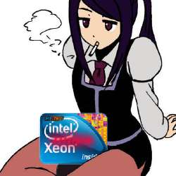 .jpg