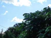 IMG20250721114733.jpg