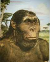 17397931426760.webp