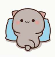 cat-fight-cat.gif