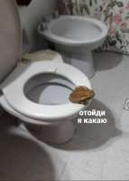 1720905072751.jpg