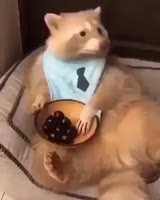 17571656282150.webm