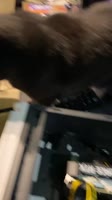 ddr4 tesla.mp4