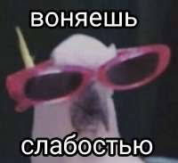 изображение.png