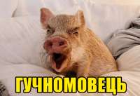 свинья-громкоговоритель.png