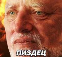 12208247.jpg