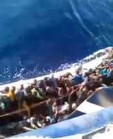 niggers cant swim.webm