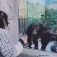 похлопал.mp4