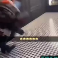 racist joe rogan chimps niggers gorilla podcast.mp4