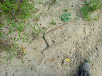 IMG202509071414281.jpg