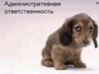 IMG20250610152225513.jpg
