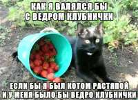 IMG20250605080543487.jpg