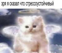 17534714641790.jpg