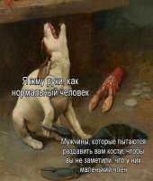 17534357049230.jpg