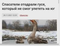 apjcdzoiag481.webp