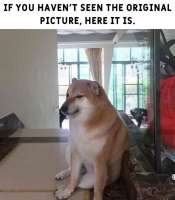 16383109572530.jpg