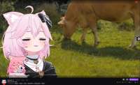 Screenshot20220119010445.png