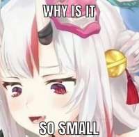 ayamesmall.jpg