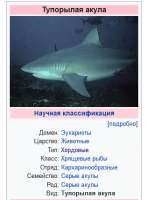изображение.png