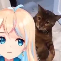 16397419910470.mp4